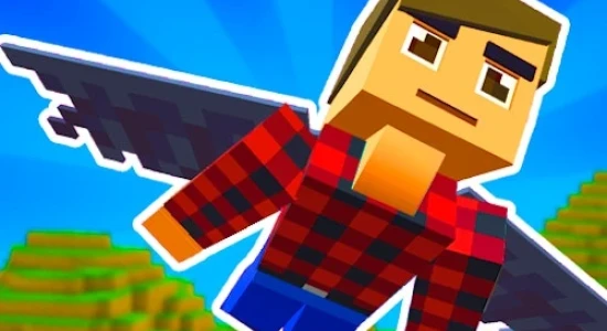 Elytra Flight